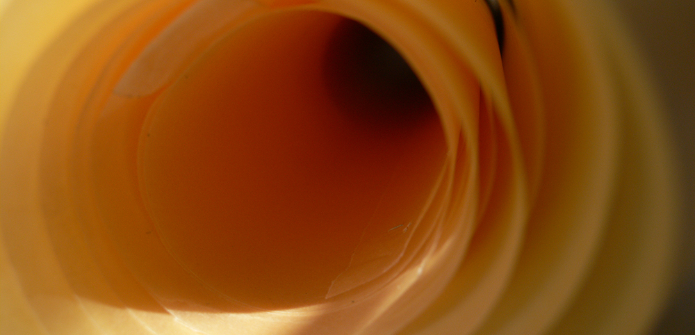 TALLER: ¿QUIÉN NO TIENE UN OSCURO&nbsp;PASADO?