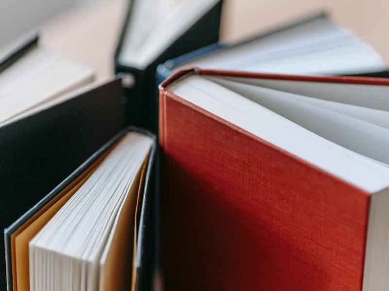 Antropofiction, ¿una nueva era&nbsp;literaria?