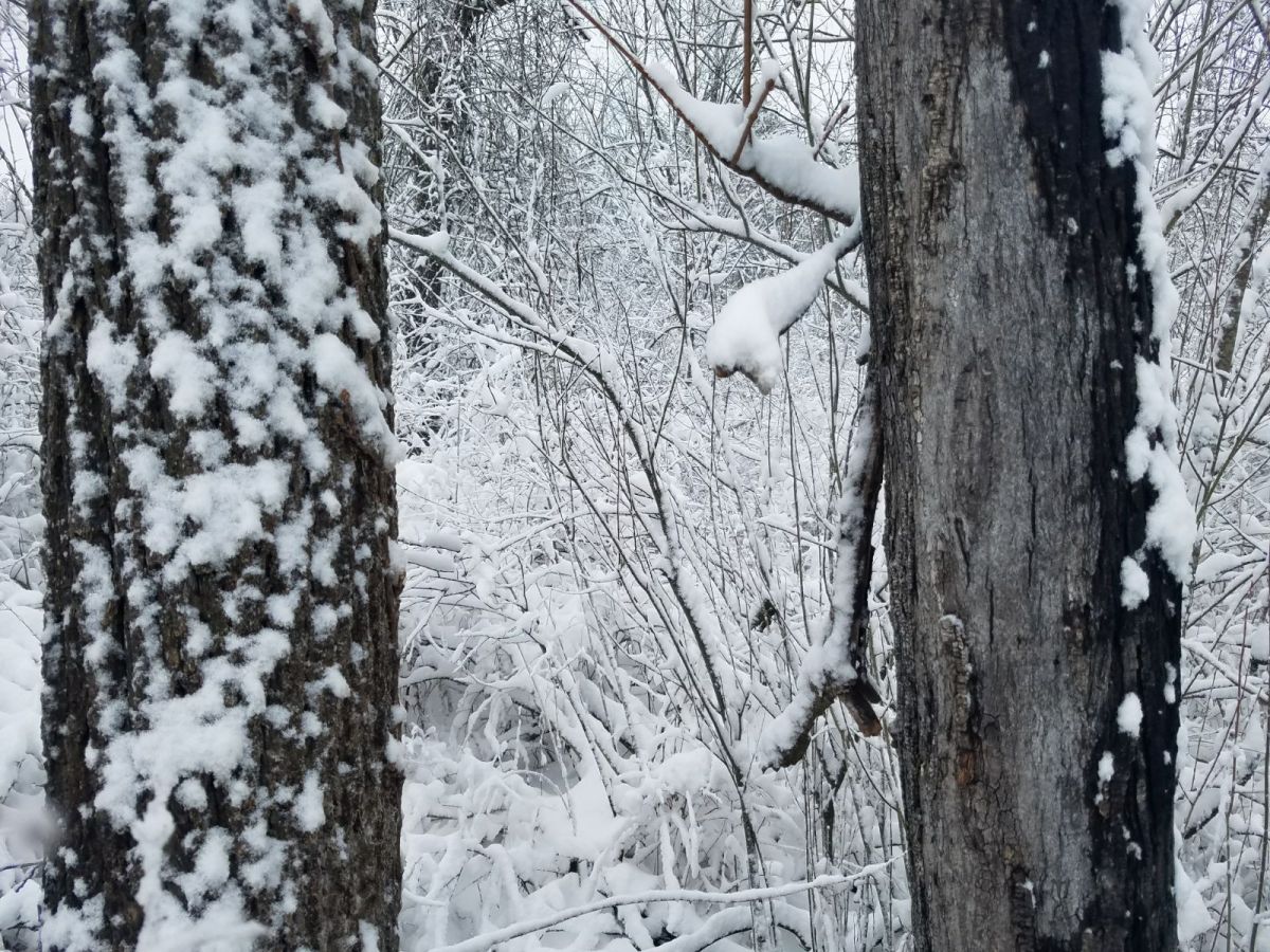 «Nieve», un cuento