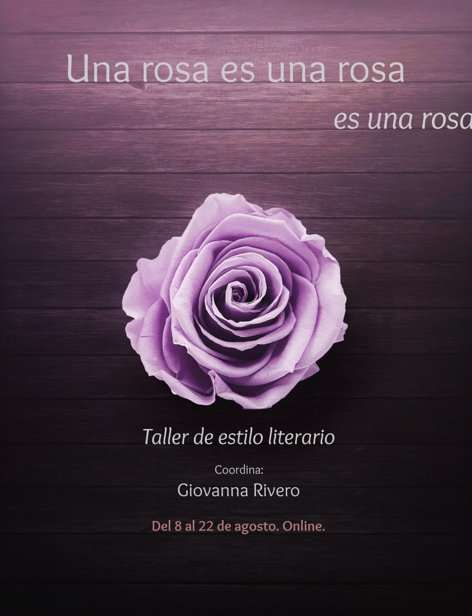 Una Rosa Es Una Rosa Giovanna Rivero una-rosa-es-una-rosa-giovanna-rivero